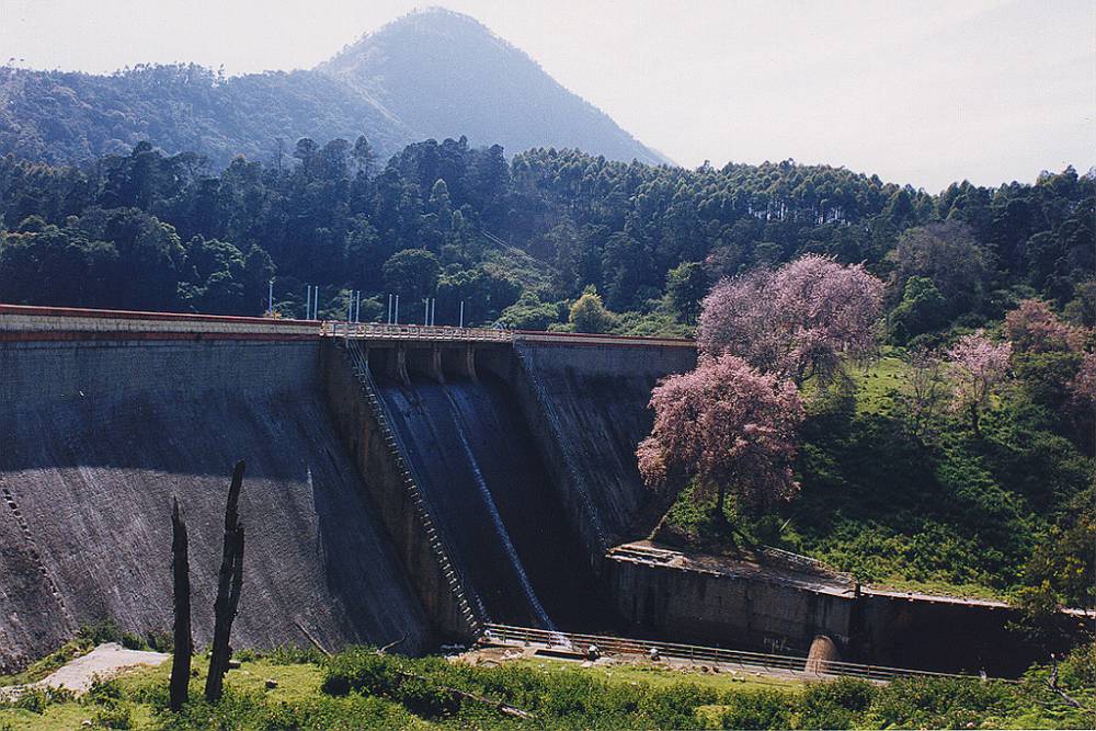 Mattupetty Dam and Lake Munnar